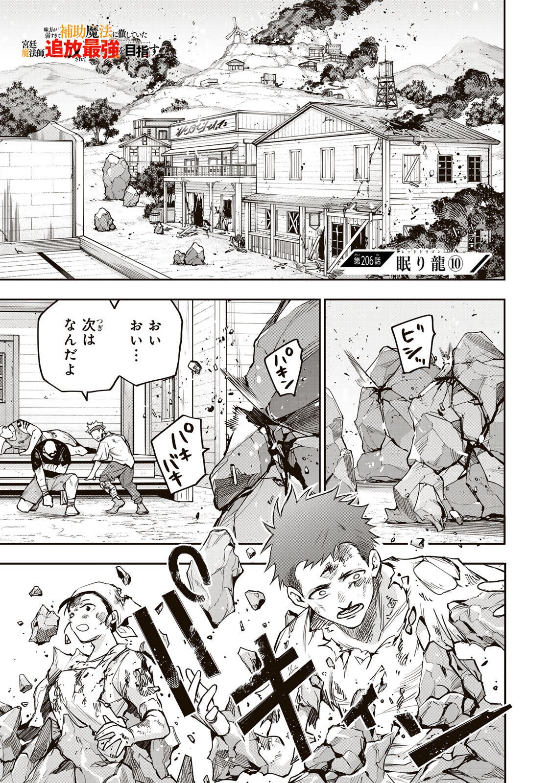 味方が弱すぎて補助魔法に徹していた宮廷魔法師、追放されて最強を目指す Chap 206 - Next Chap 207