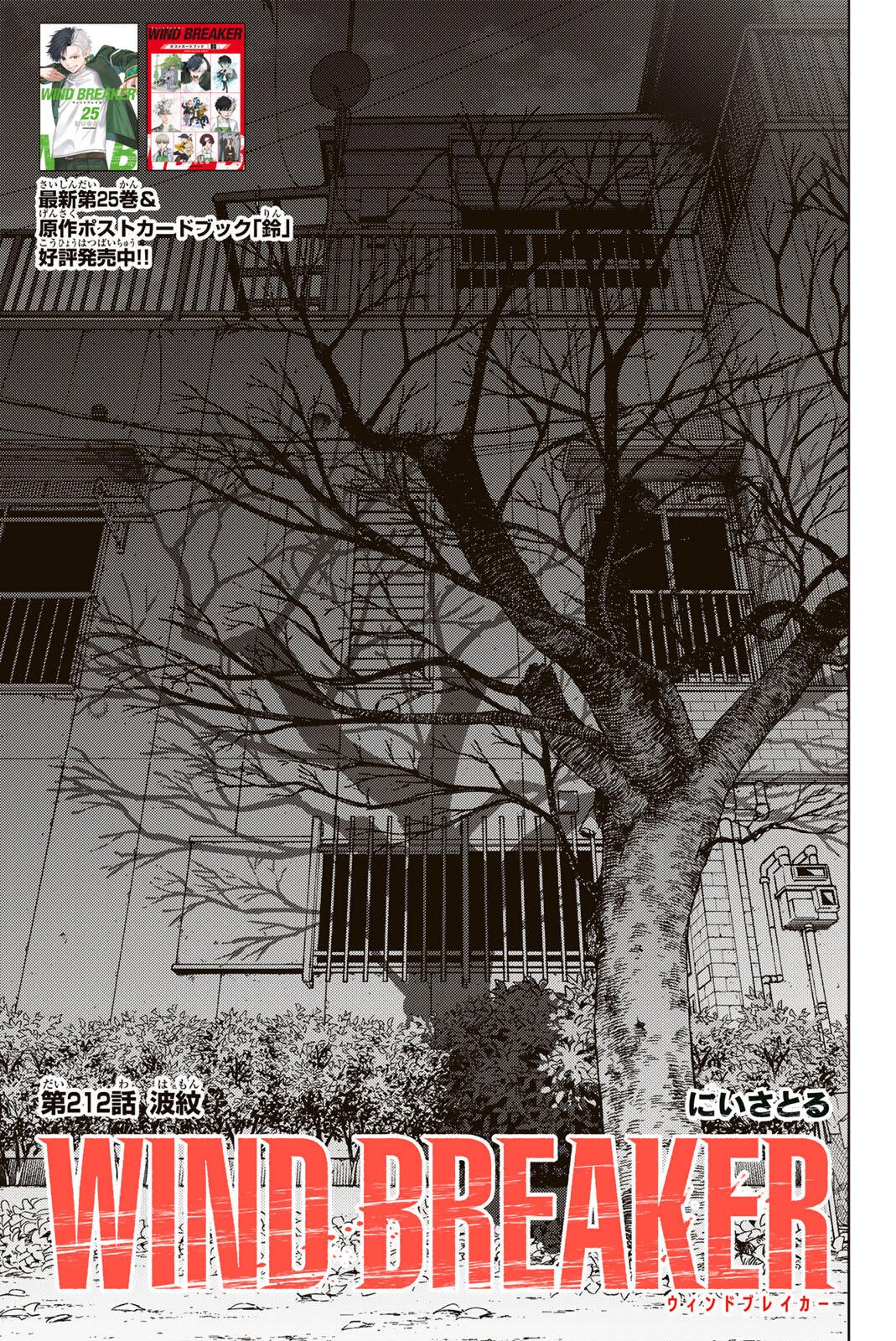 Windbreaker ウィンドブレイカー Wind Breaker (NII Satoru) Chap 212 - Next Chap 213