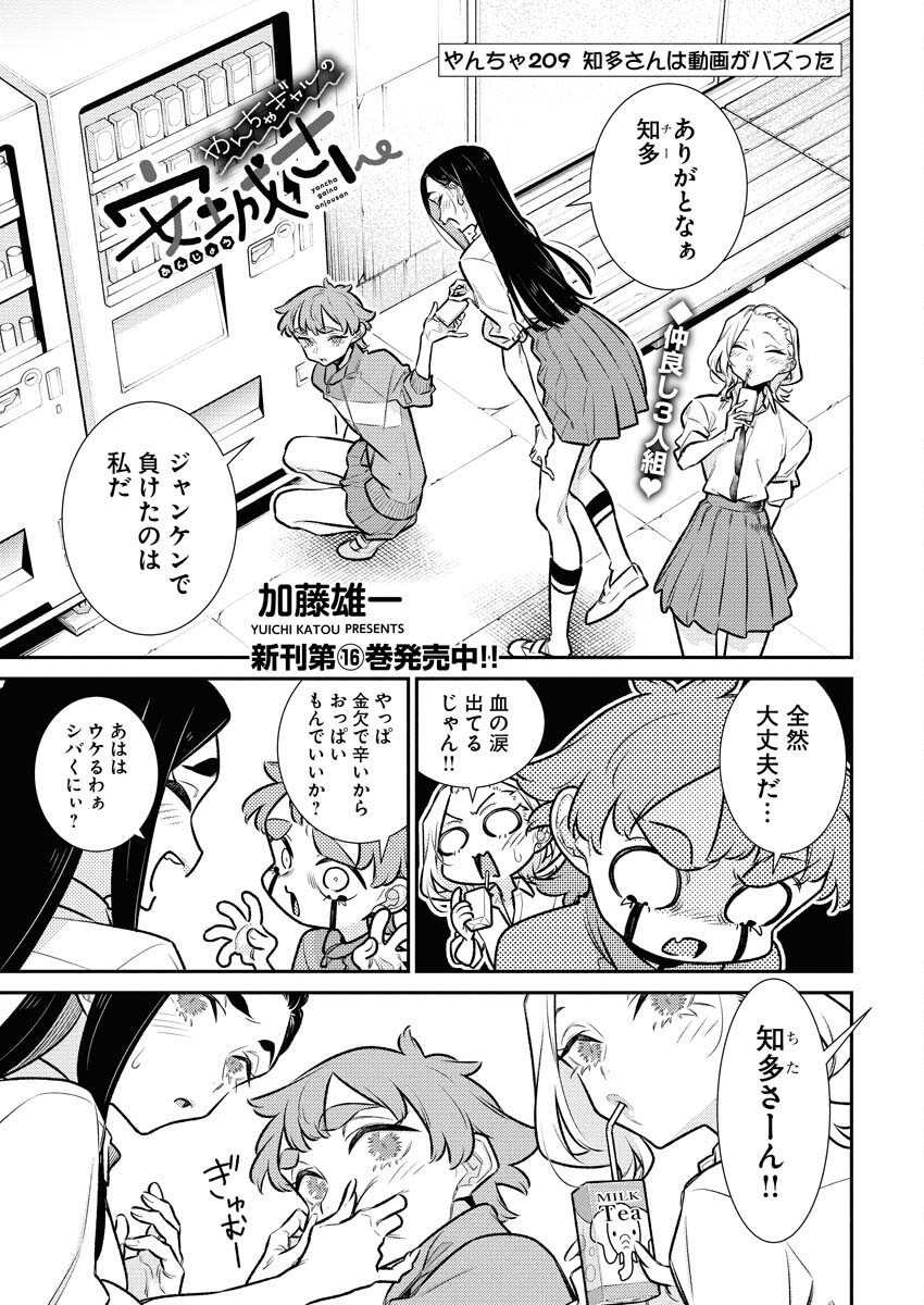 Yancha Gal no Anjou-santachi Chap 209 - Next Chap 210