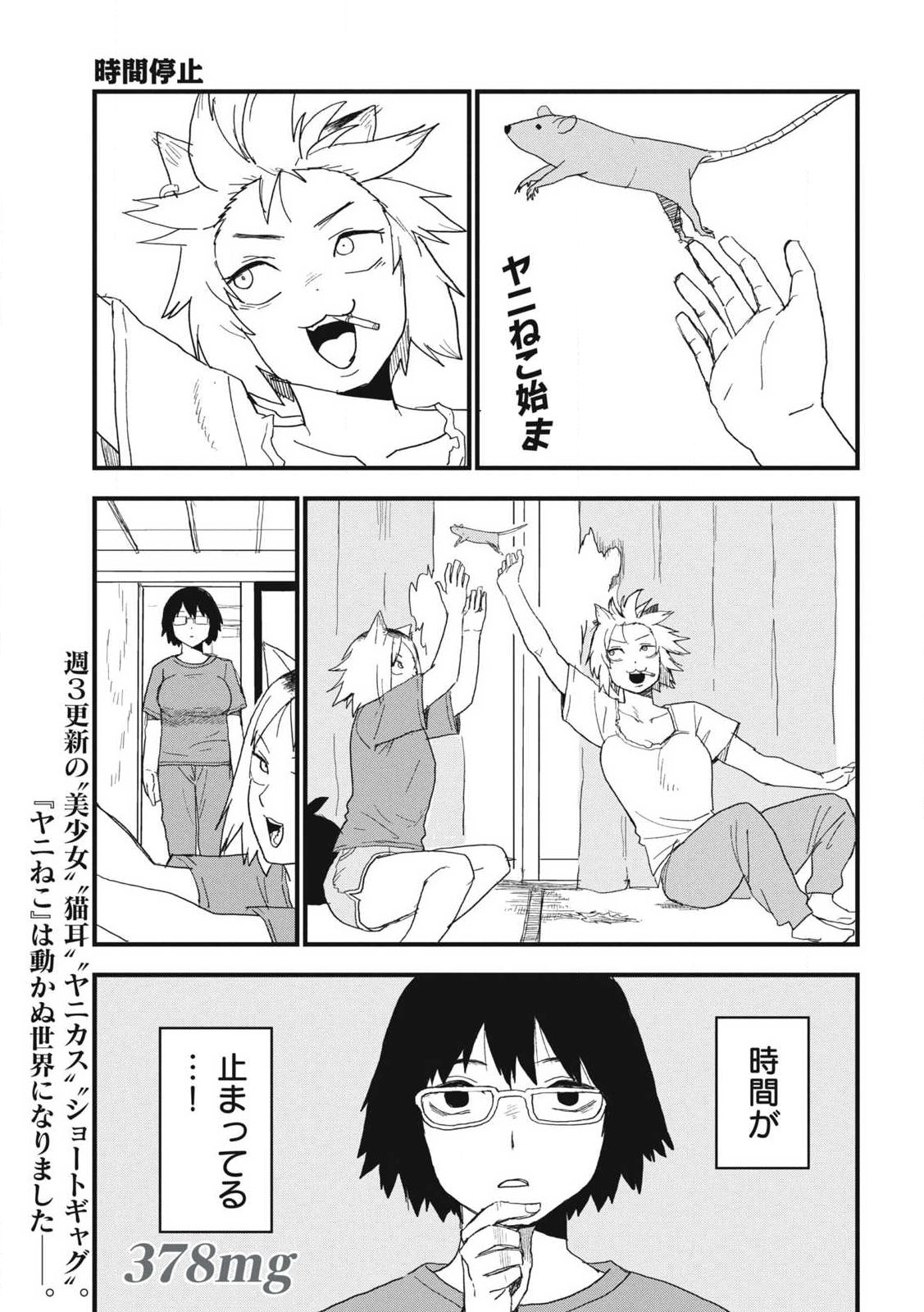 ヤニねこ Chap 378 - Next Chap 379