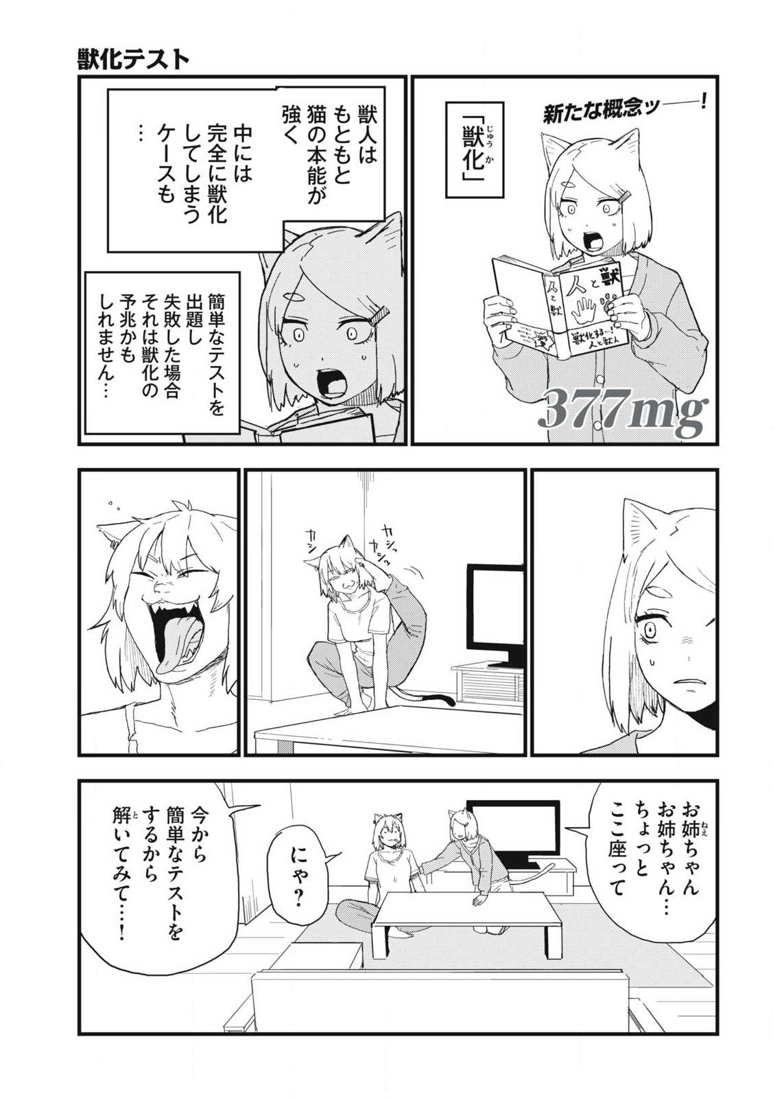 ヤニねこ Chap 377 - Next Chap 378