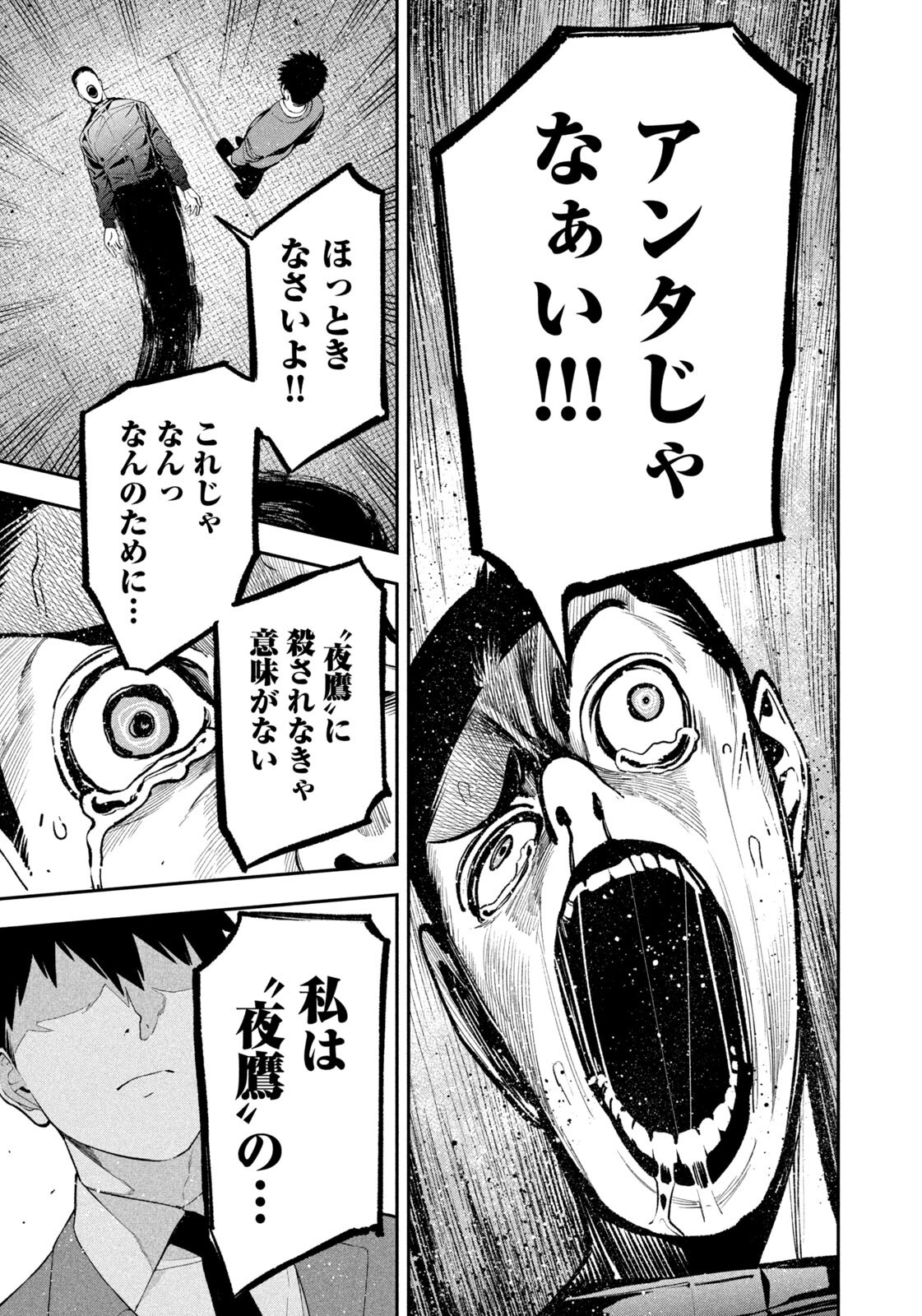 夜鷹ふたたび Chap 24 - Next Chap 25