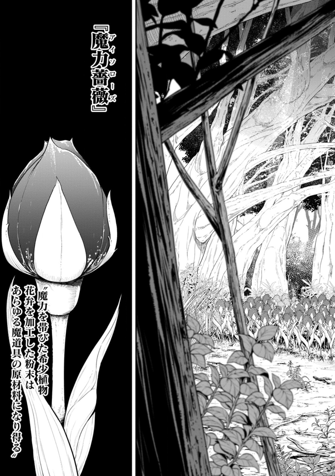 Zatsuyou Fuyojutsushi ga Jibun no Saikyou ni Kidzuku made Chap 56.1 - Next Chap 57.1