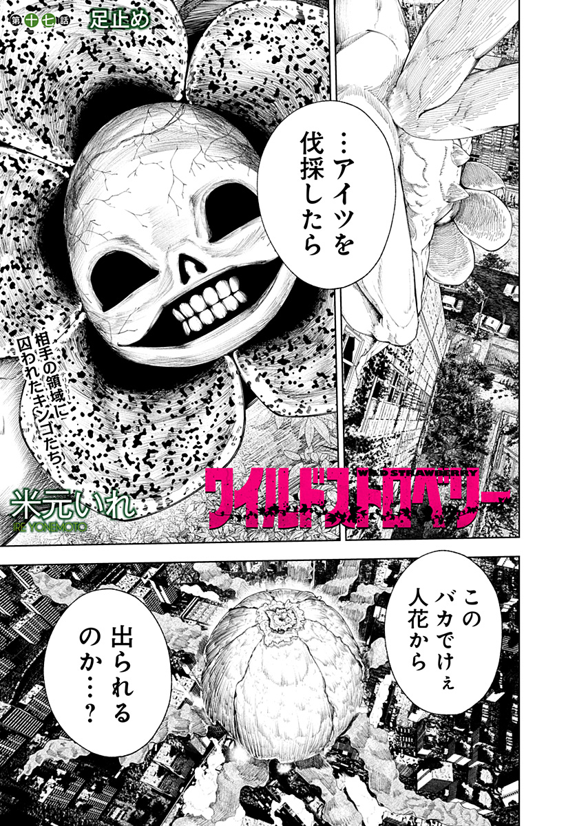 ワイルドストロベリー Chap 17 - Next Chap 18