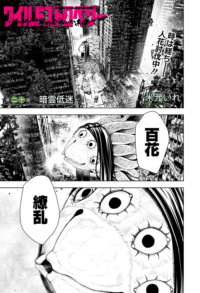ワイルドストロベリー Chap 20 - Next Chap 21