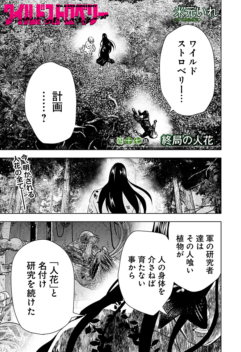 ワイルドストロベリー Chap 47 - Next Chap 48