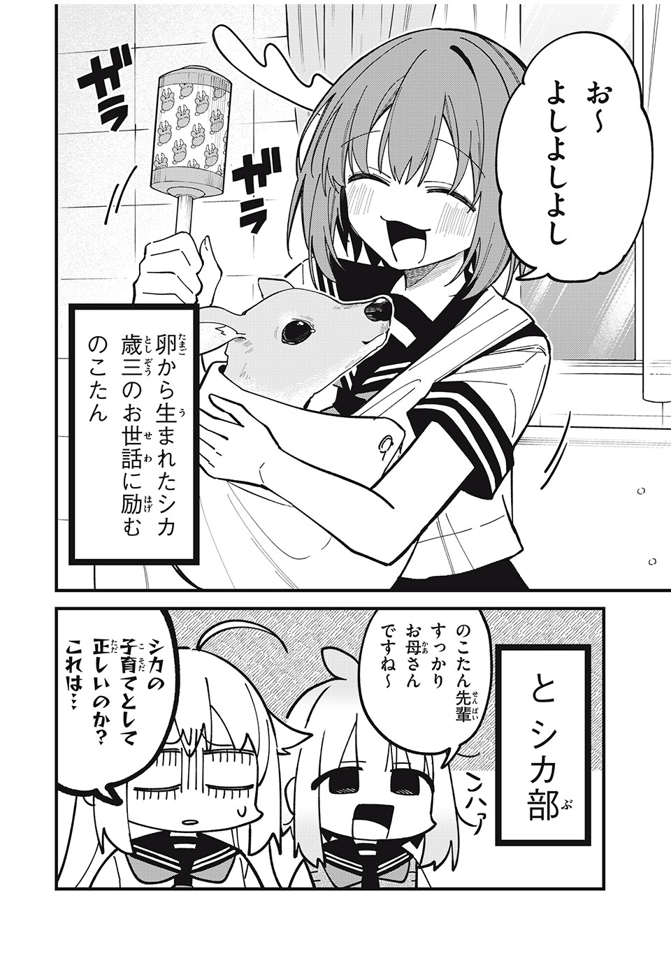 しかのこのこのここしたんたん Chap 46 - Next Chap 47