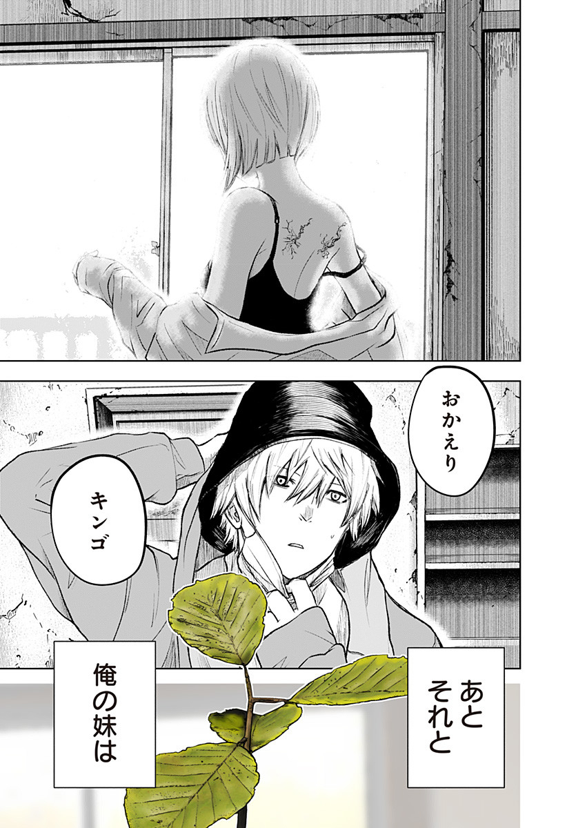 ワイルドストロベリー Chap 1 - Next Chap 2