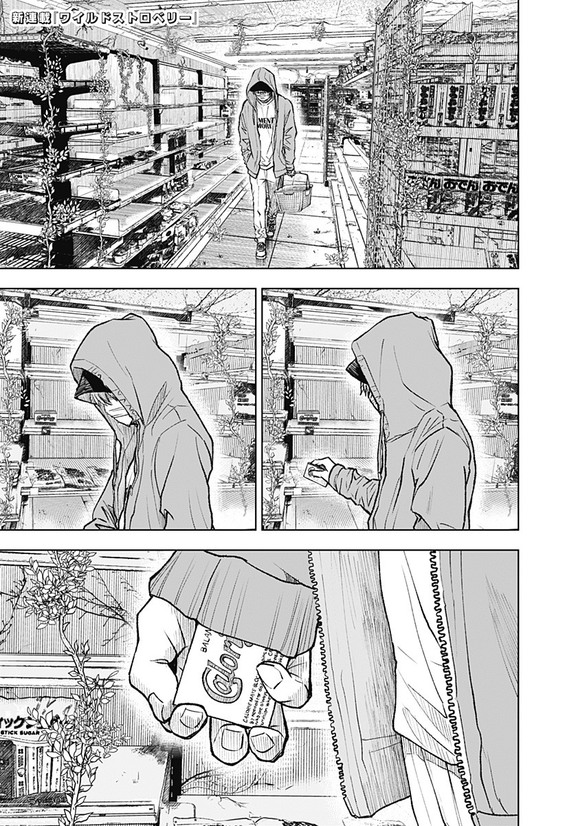 ワイルドストロベリー Chap 1 - Next Chap 2