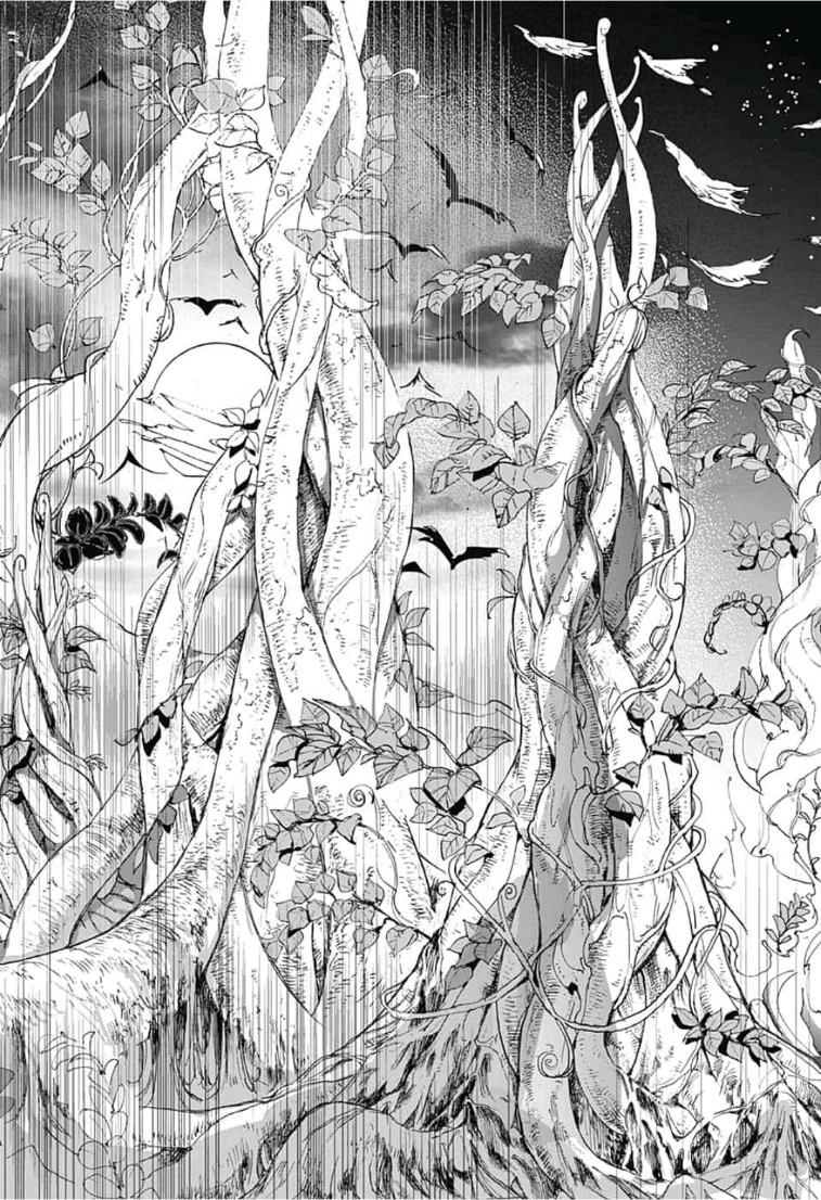 約束のネバーランド Chap 137 - Next Chap 138