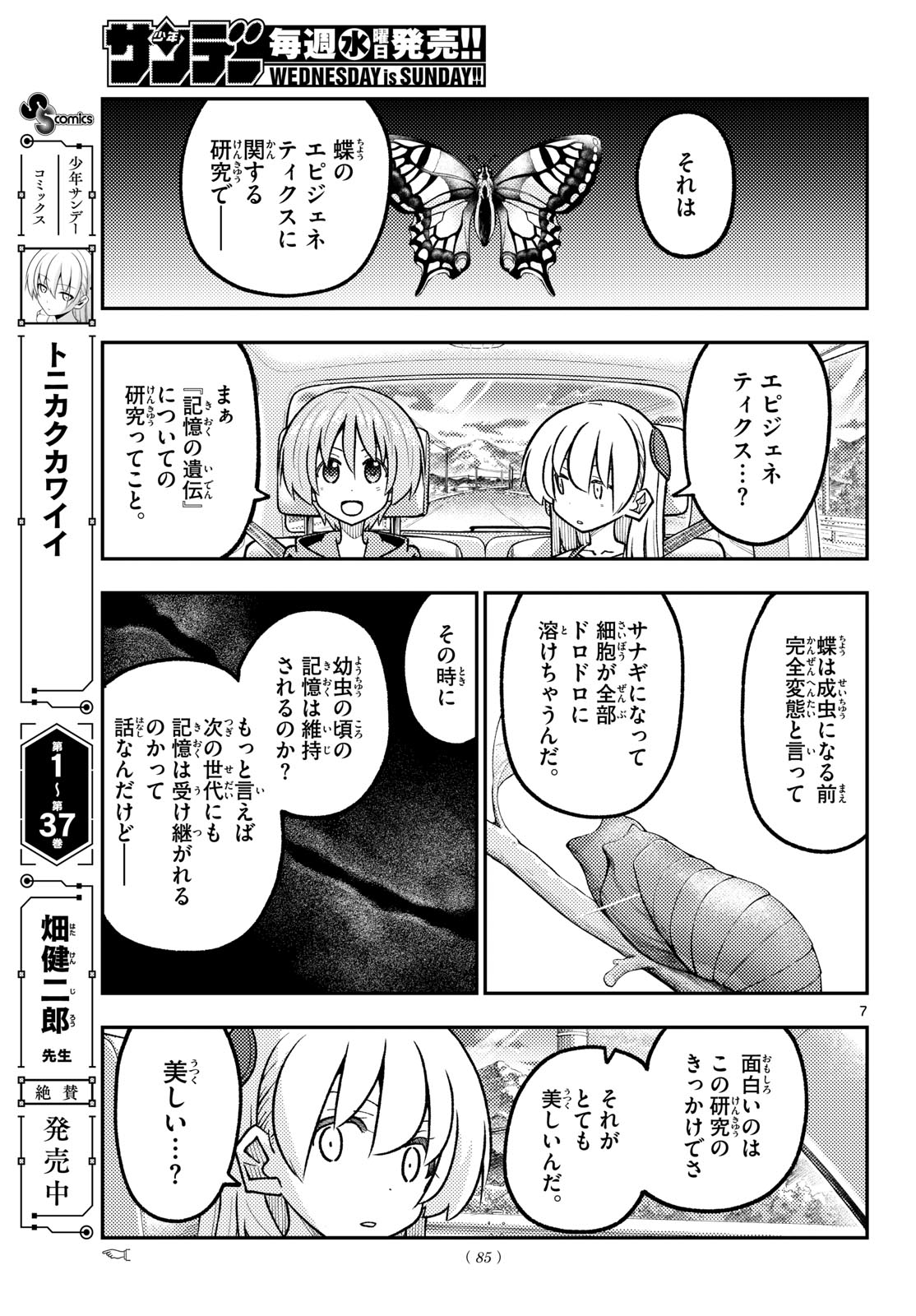 Tonikaku Kawaii Chap 363 - Next Chap 364