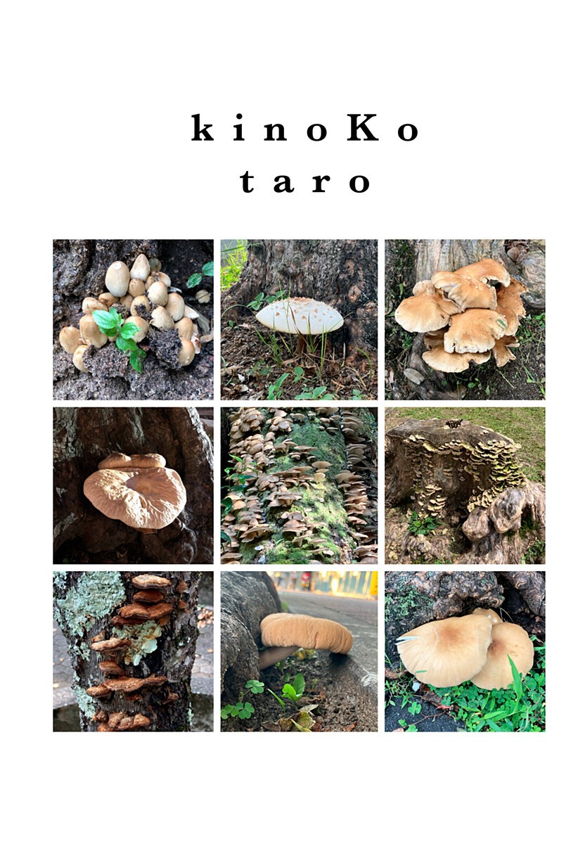 このクラスにギャルはいない Chap 39.5 - Next Chap 40.5