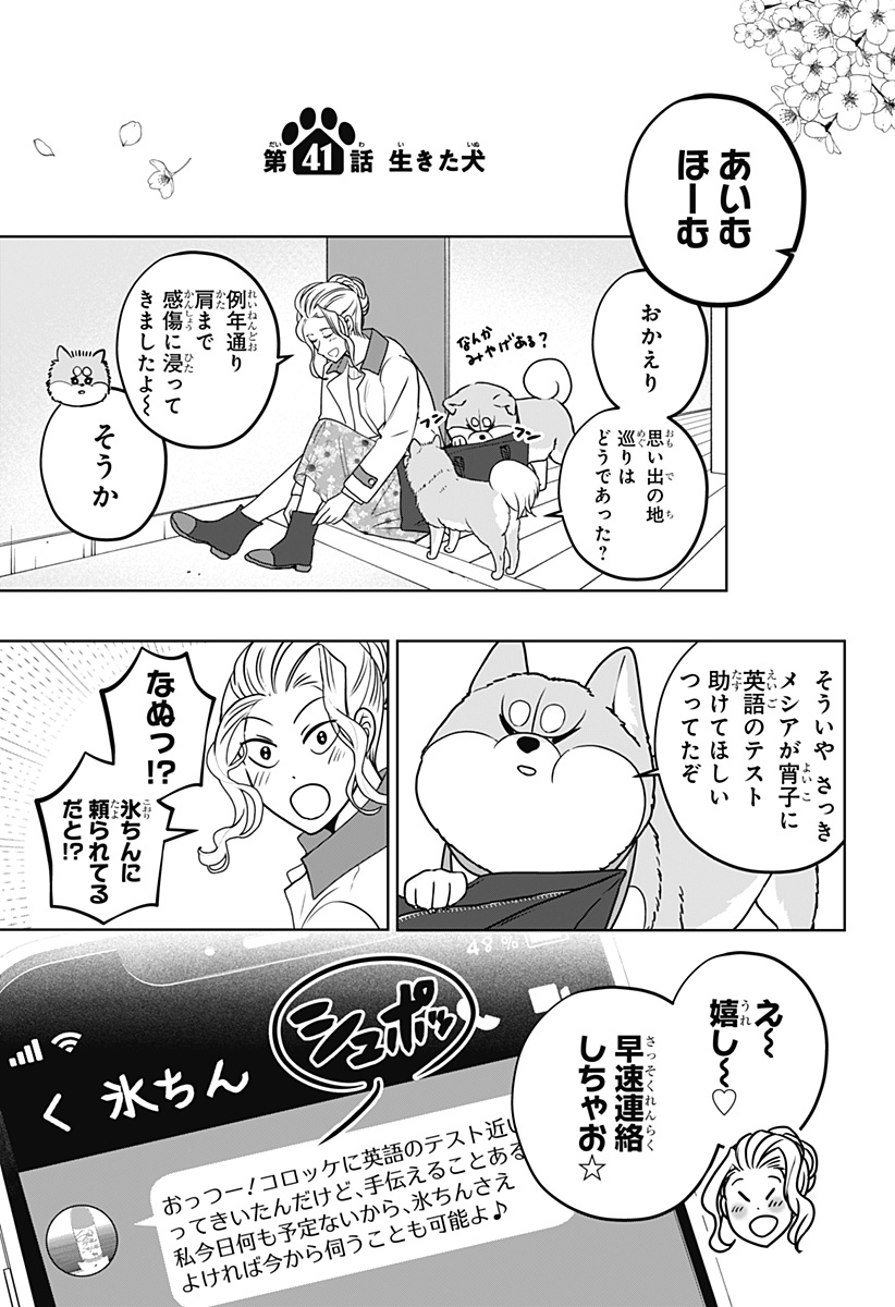 シバつき物件 Chap 41 - Next Chap 42