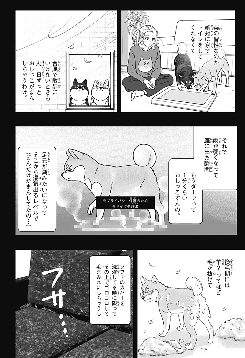 シバつき物件 Chap 41 - Next Chap 42