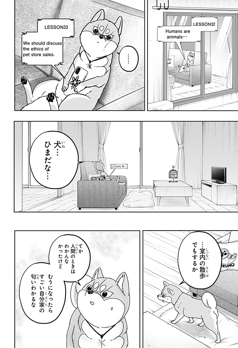 シバつき物件 Chap 44 - Next Chap 45