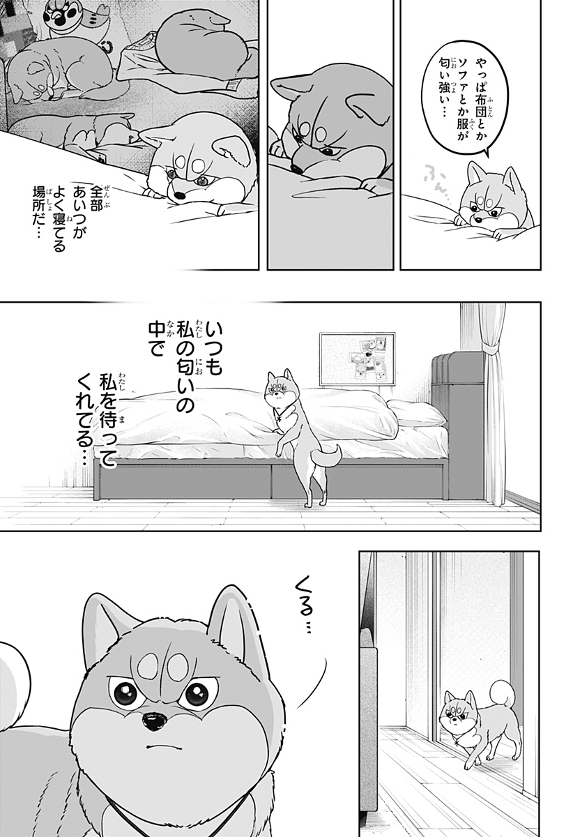 シバつき物件 Chap 44 - Next Chap 45