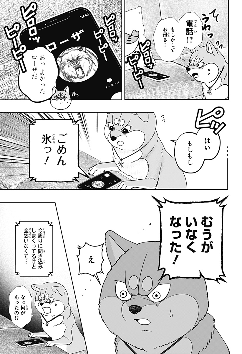 シバつき物件 Chap 44 - Next Chap 45