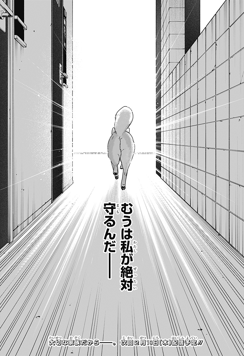 シバつき物件 Chap 44 - Next Chap 45
