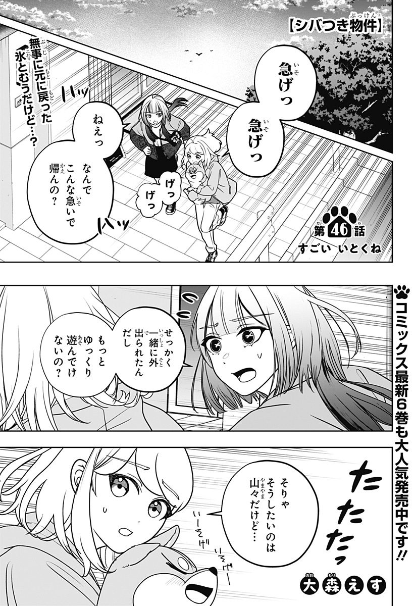 シバつき物件 Chap 46 - Next Chap 47