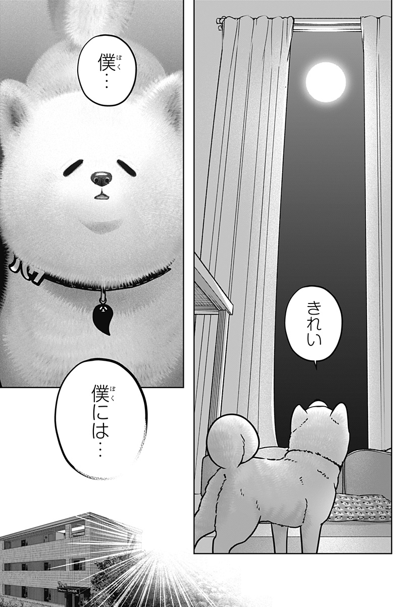シバつき物件 Chap 39 - Next Chap 40