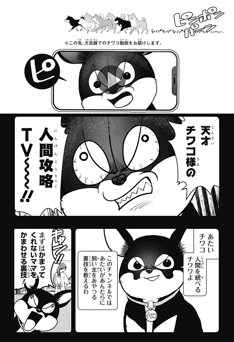 シバつき物件 Chap 52 - Next Chap 53