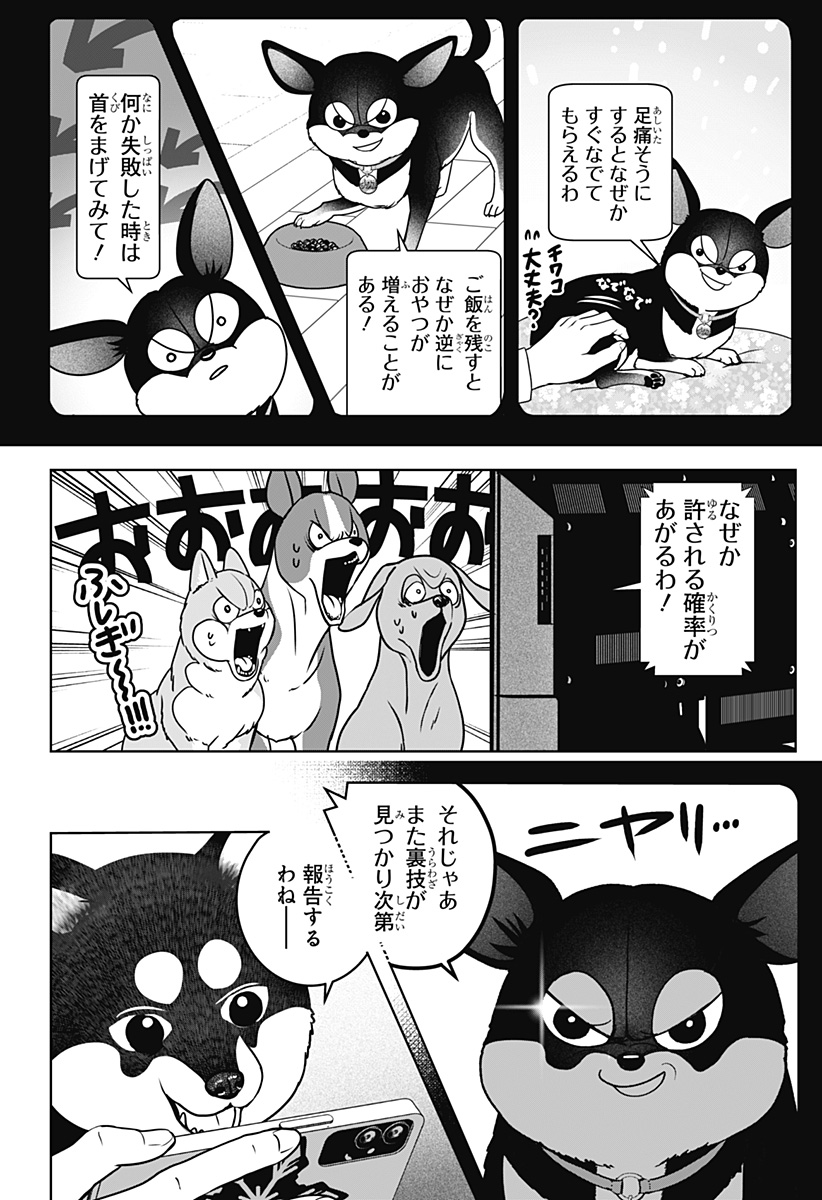 シバつき物件 Chap 52 - Next Chap 53