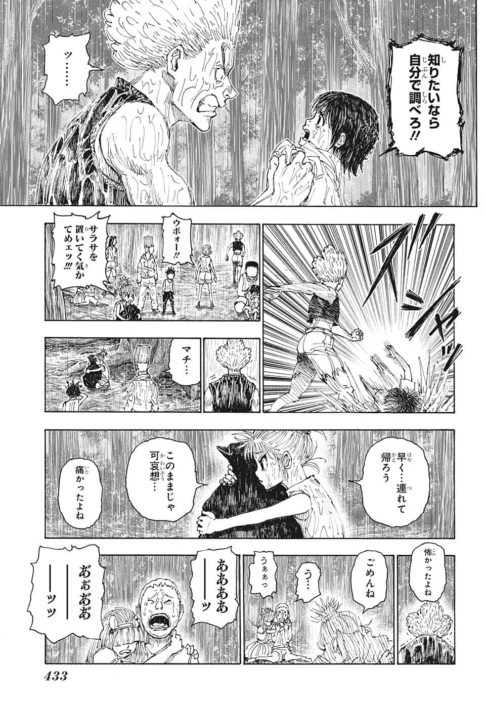 Hunter x Hunter Chap 397 - Next Chap 398