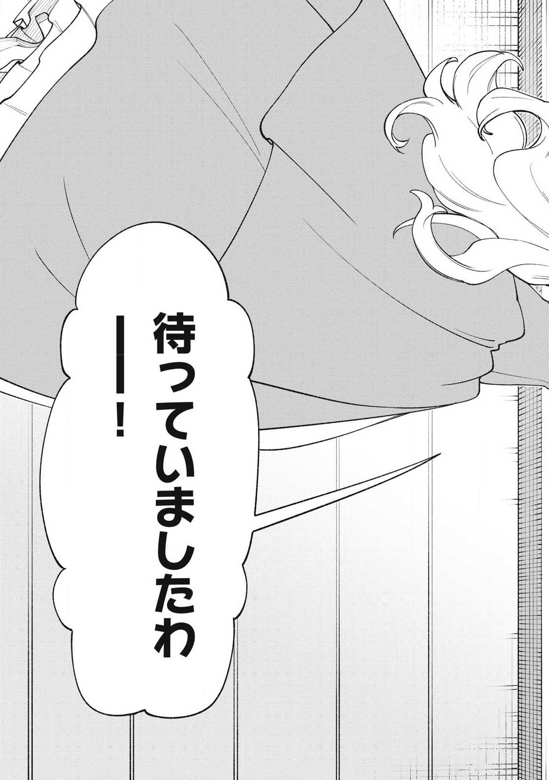 Sランクパーティから解雇された Chap 61.3 - Next Chap 62.3