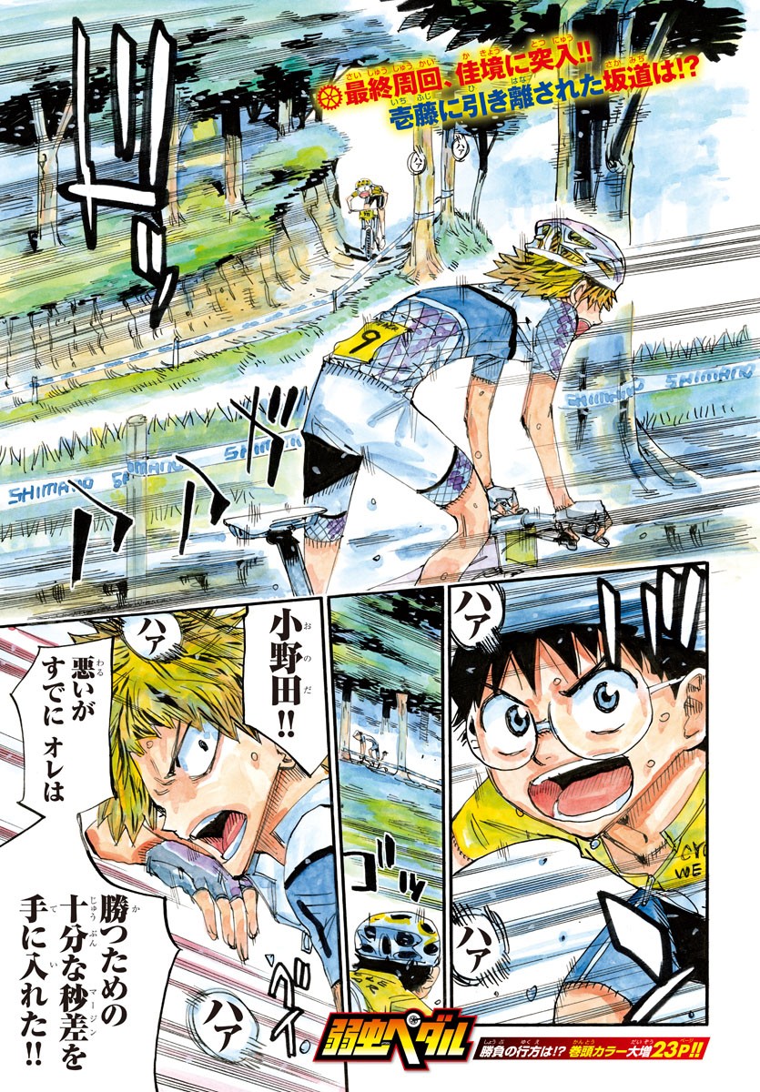 弱虫ペダル Chap 595 - Next Chap 596