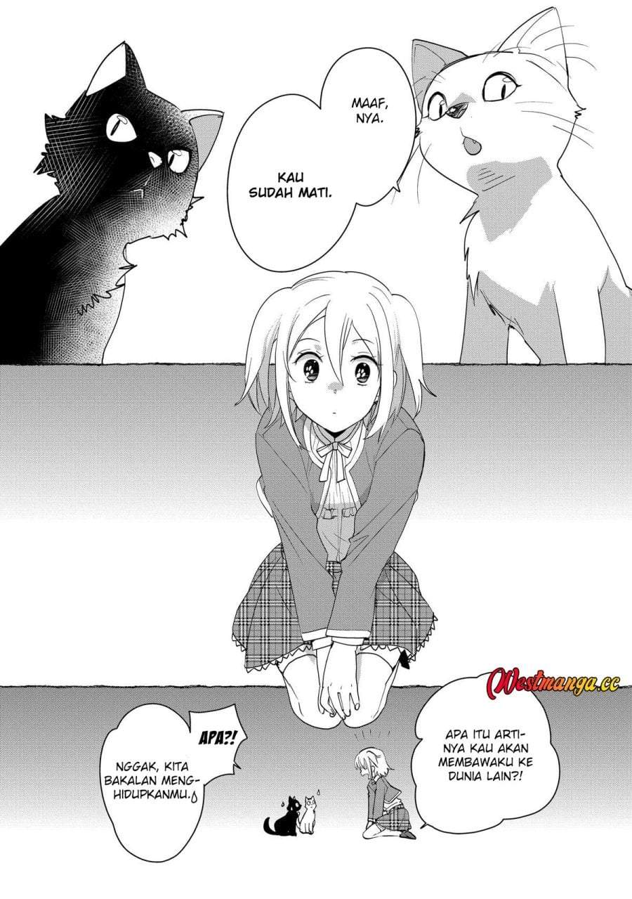 Sokushi Cheat ga Saikyou Sugite, Isekai no Yatsura ga Marude Aite ni Naranai n desu ga Chap 52 - Next Chap 53