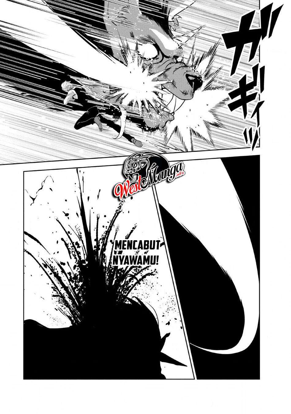 Shinka no Mi Chap 25 - Next Chap 26