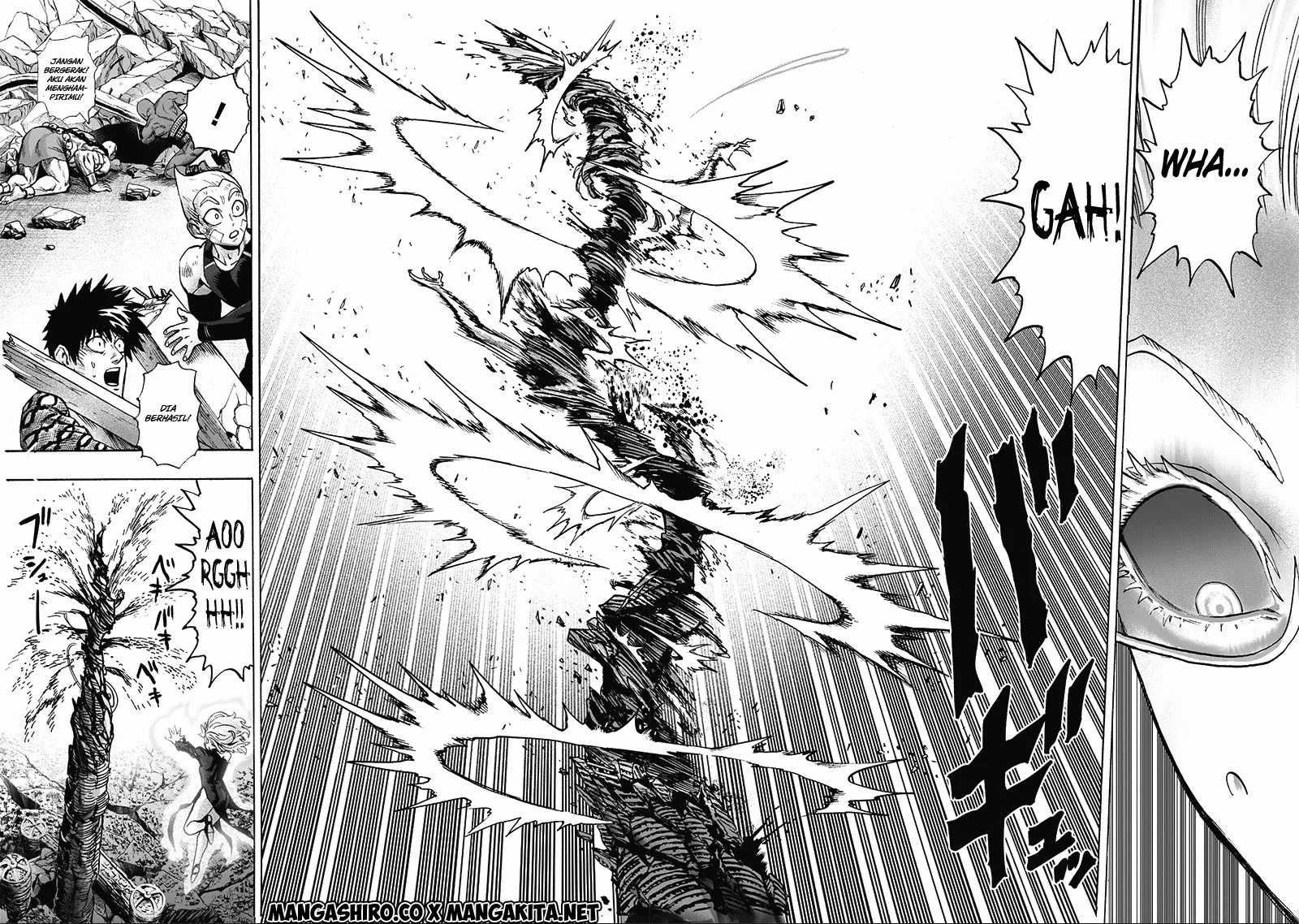 One Punch-Man Chap 182 - Next Chap 183