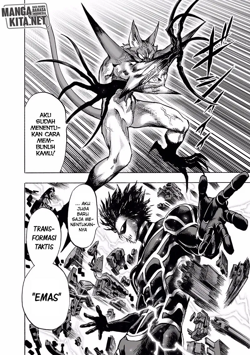 One Punch-Man Chap 165 - Next Chap 166