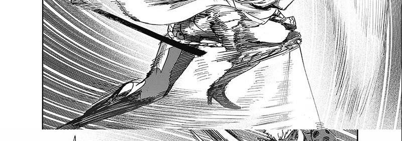 One Punch-Man Chap 248 - Next Chap 249