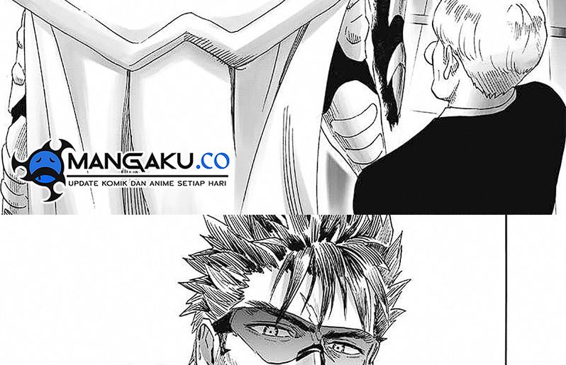 One Punch-Man Chap 246 - Next Chap 247