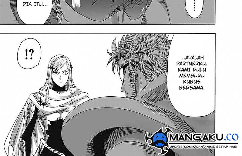 One Punch-Man Chap 246 - Next Chap 247