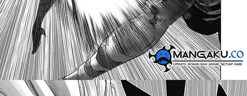 One Punch-Man Chap 247 - Next Chap 248
