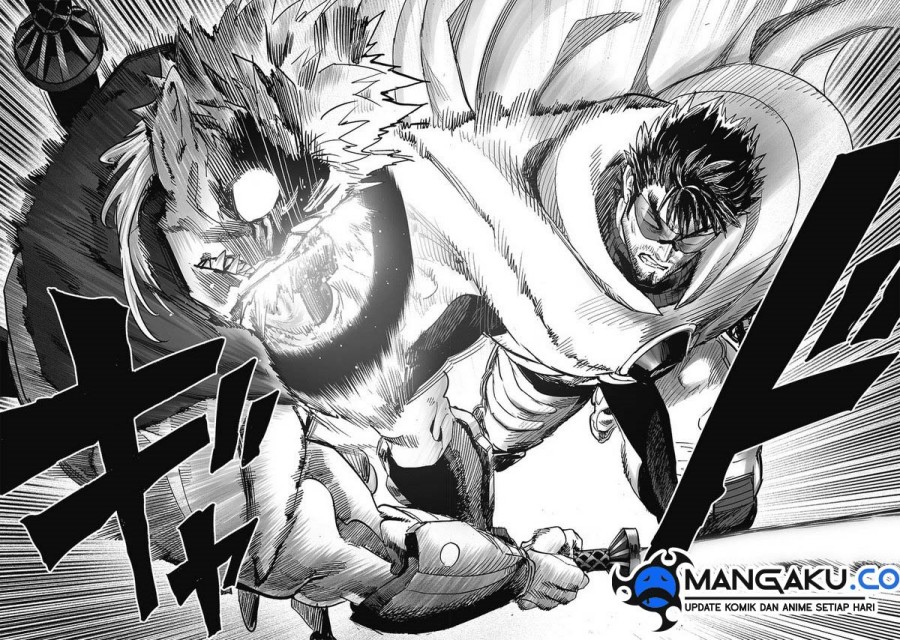 One Punch-Man Chap 256 - Next Chap 257