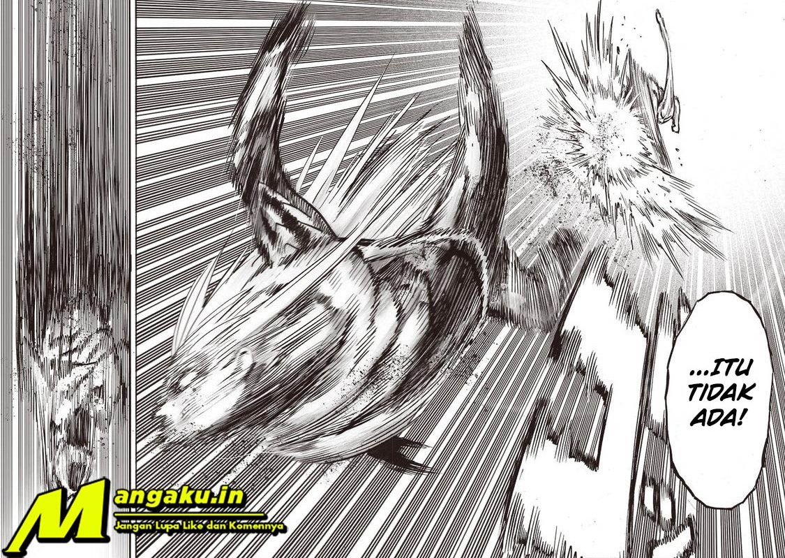 One Punch-Man Chap 206 - Next Chap 207