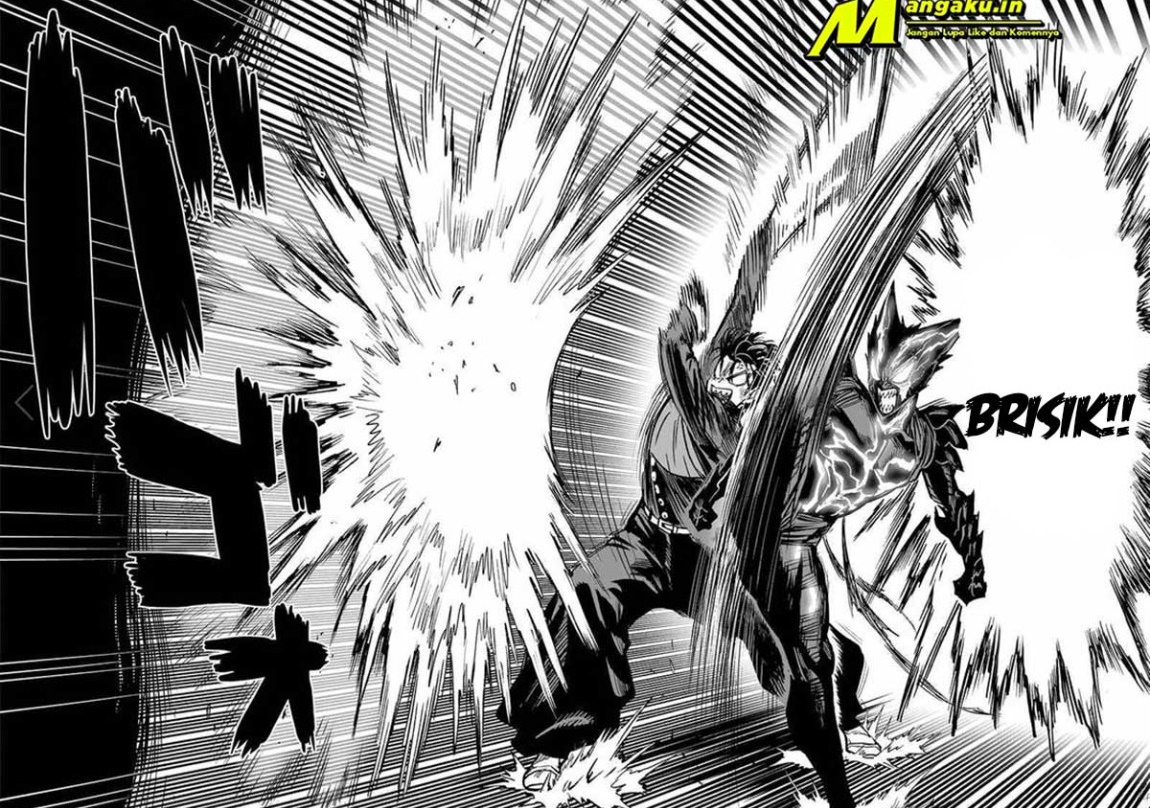 One Punch-Man Chap 207 - Next Chap 208