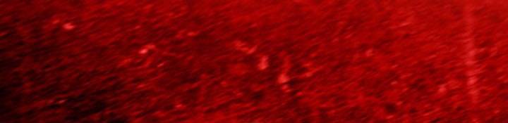 Revenge of the Iron-Blooded Sword Hound Chap 141 - Next Chap 142