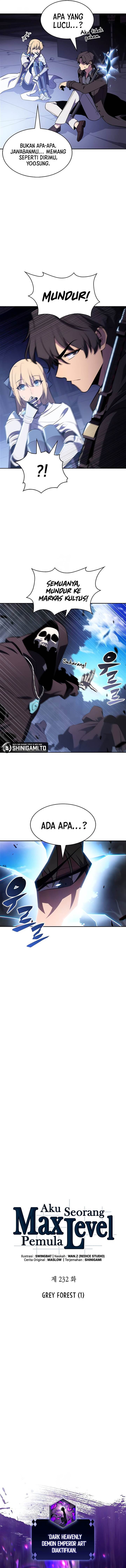 Solo Max-Level Newbie Chap 232 - Next Chap 233