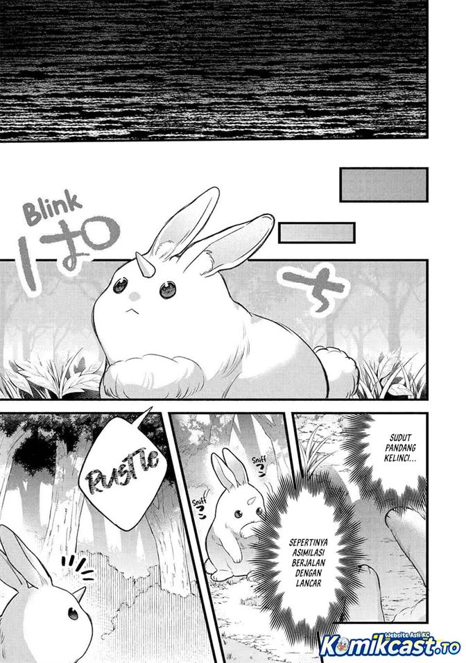 Yuusha Party wo Tsuihou Sareta Beast Tamer, Saikyou Shuzoku Nekomimi Shojo to Deau Chap 81 - Next Chap 82