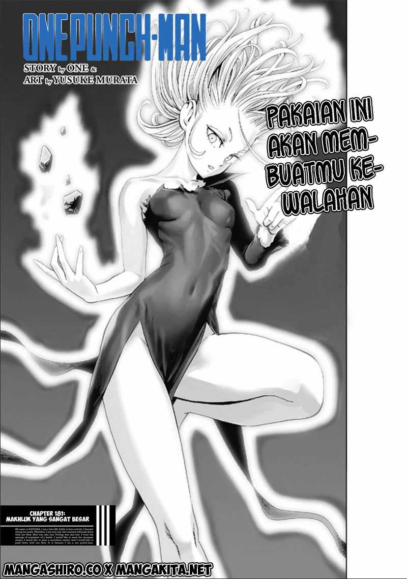One Punch-Man Chap 182 - Next Chap 183