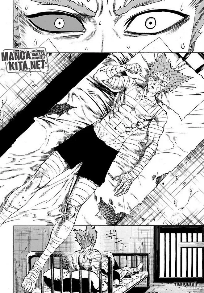 One Punch-Man Chap 134 - Next Chap 135