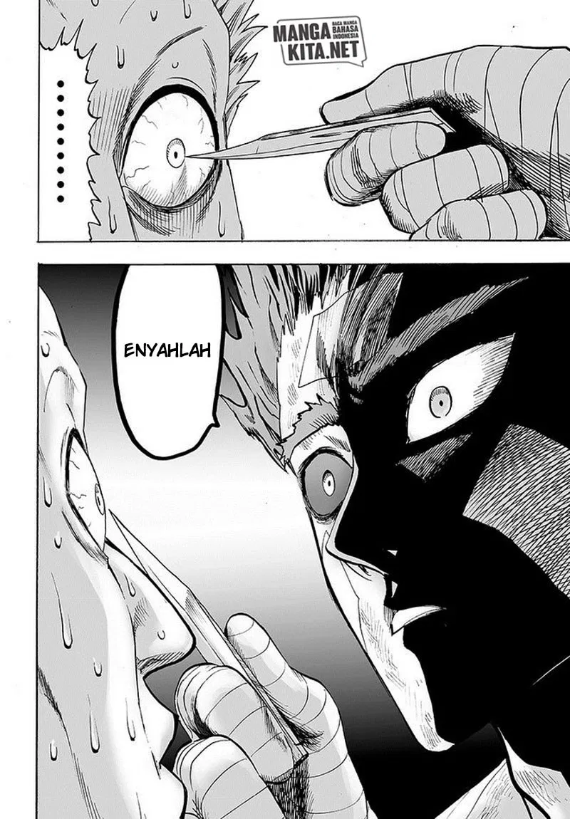 One Punch-Man Chap 135 - Next Chap 136