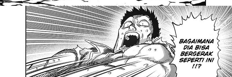 One Punch-Man Chap 249 - Next Chap 250