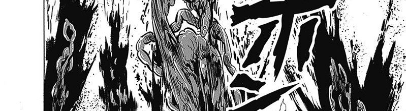 One Punch-Man Chap 250 - Next Chap 251