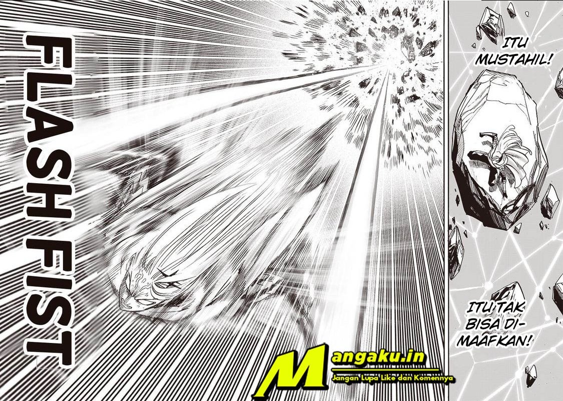 One Punch-Man Chap 206 - Next Chap 207