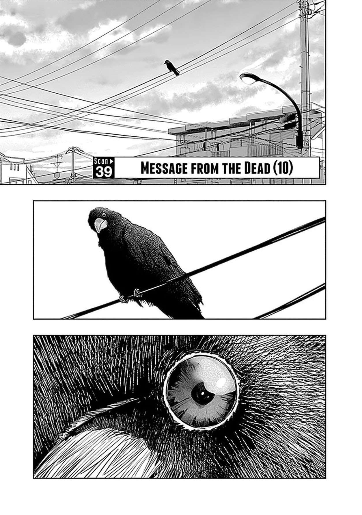 Radiation House Chap 39 - Next Chap 40